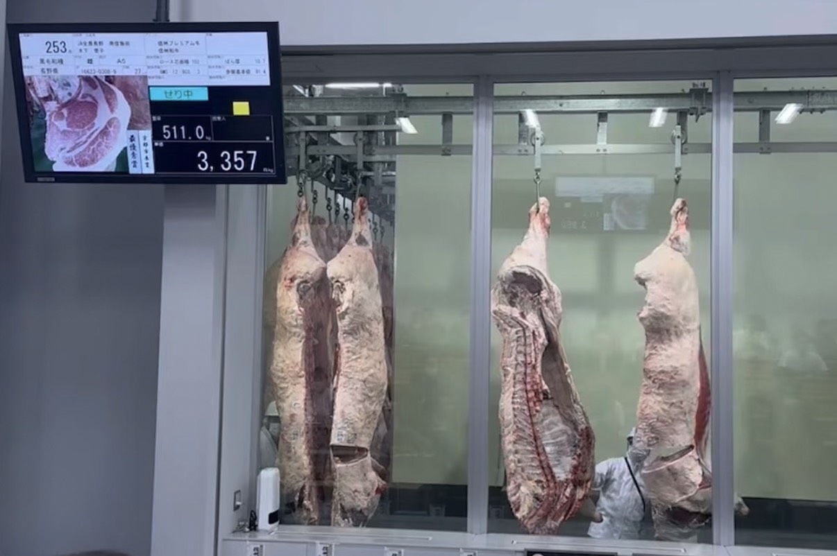 京都食肉市場での競り